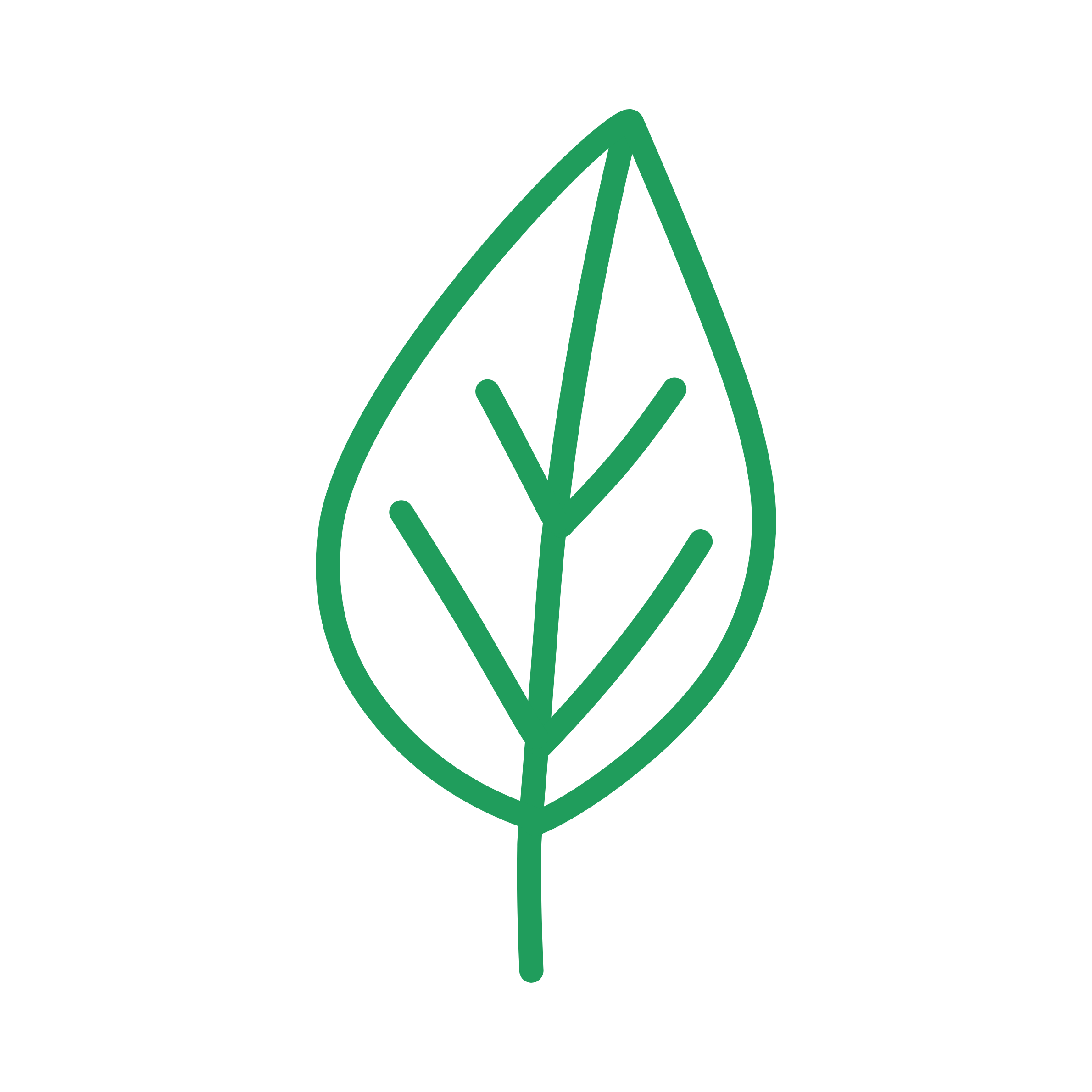 green leaf icon